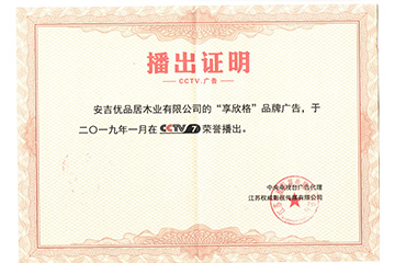 CCTV央視推廣品牌